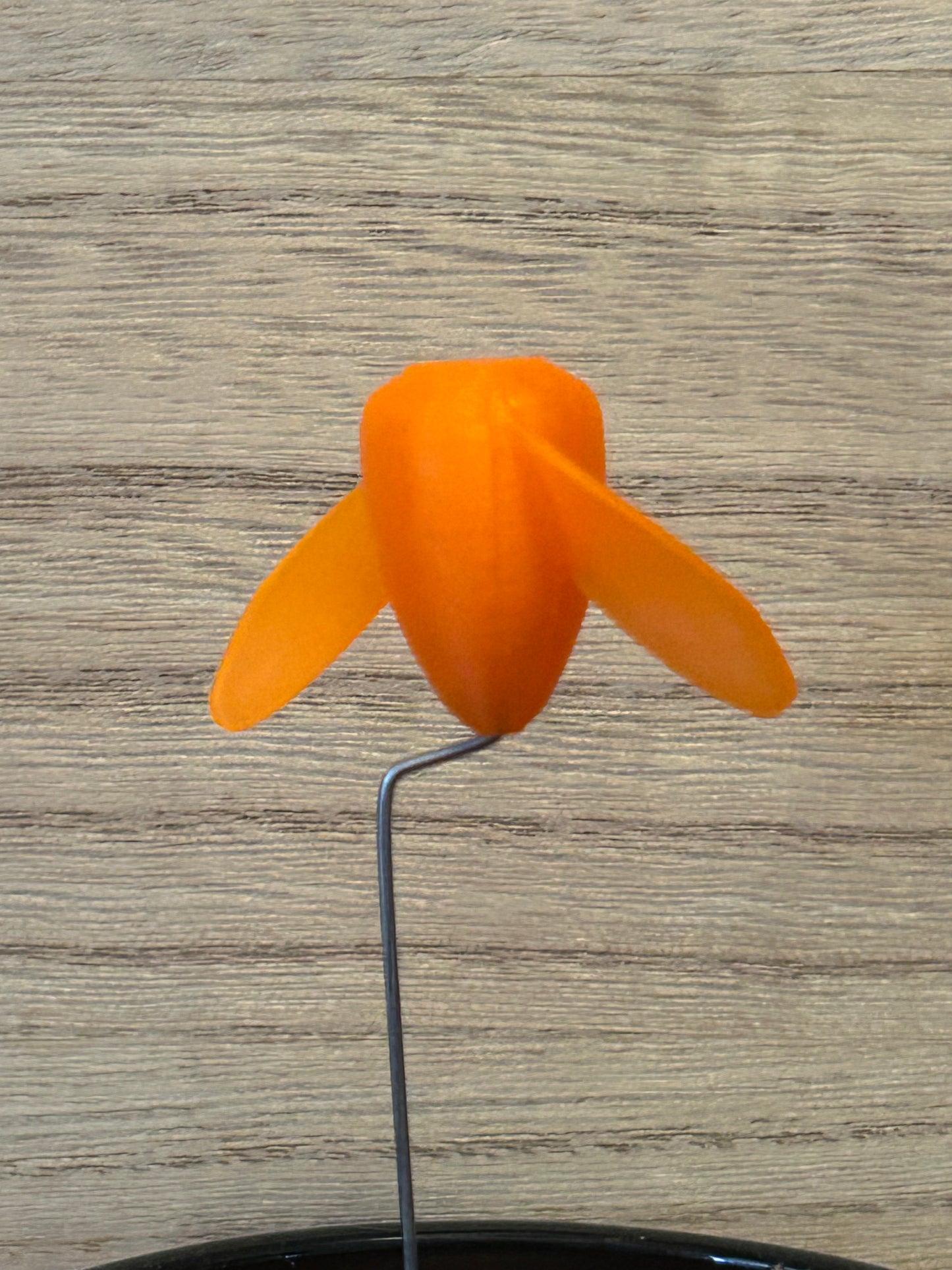 The Whirly - (4-Pack) Orange