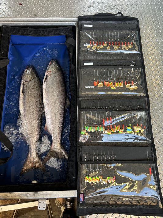 CHINOOK 4 LB + SHIPPING