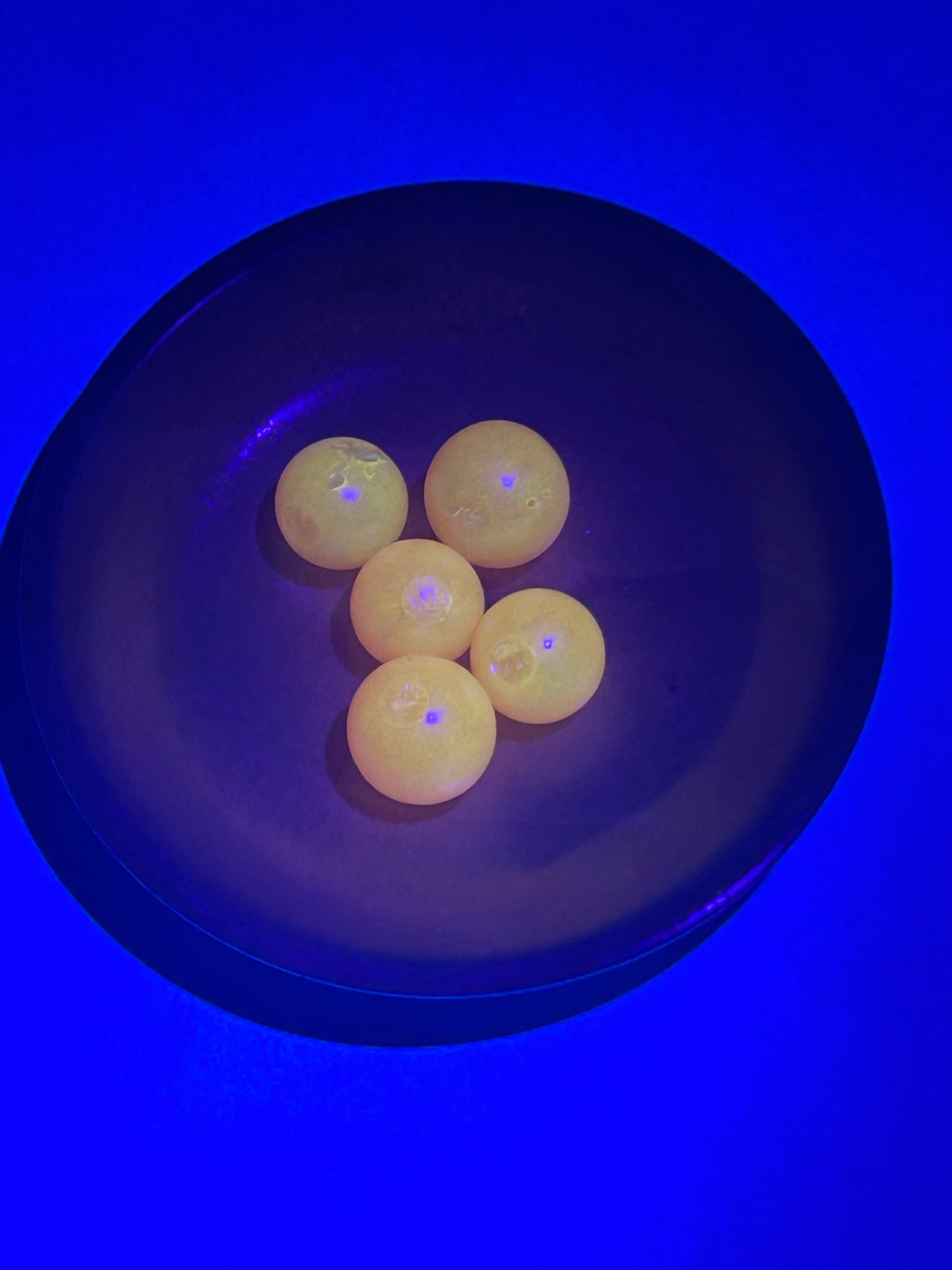 BDB - Creamsicle™  Soft Bead