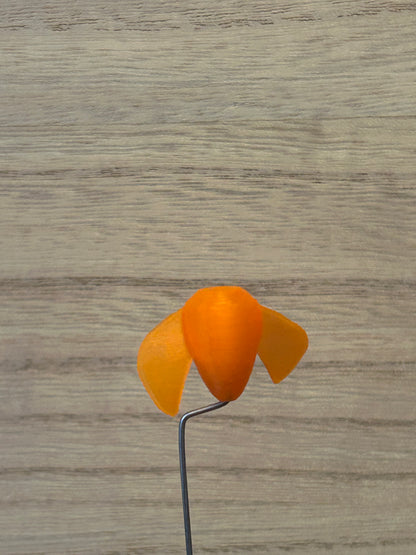 The Whirly - (4-Pack) Orange
